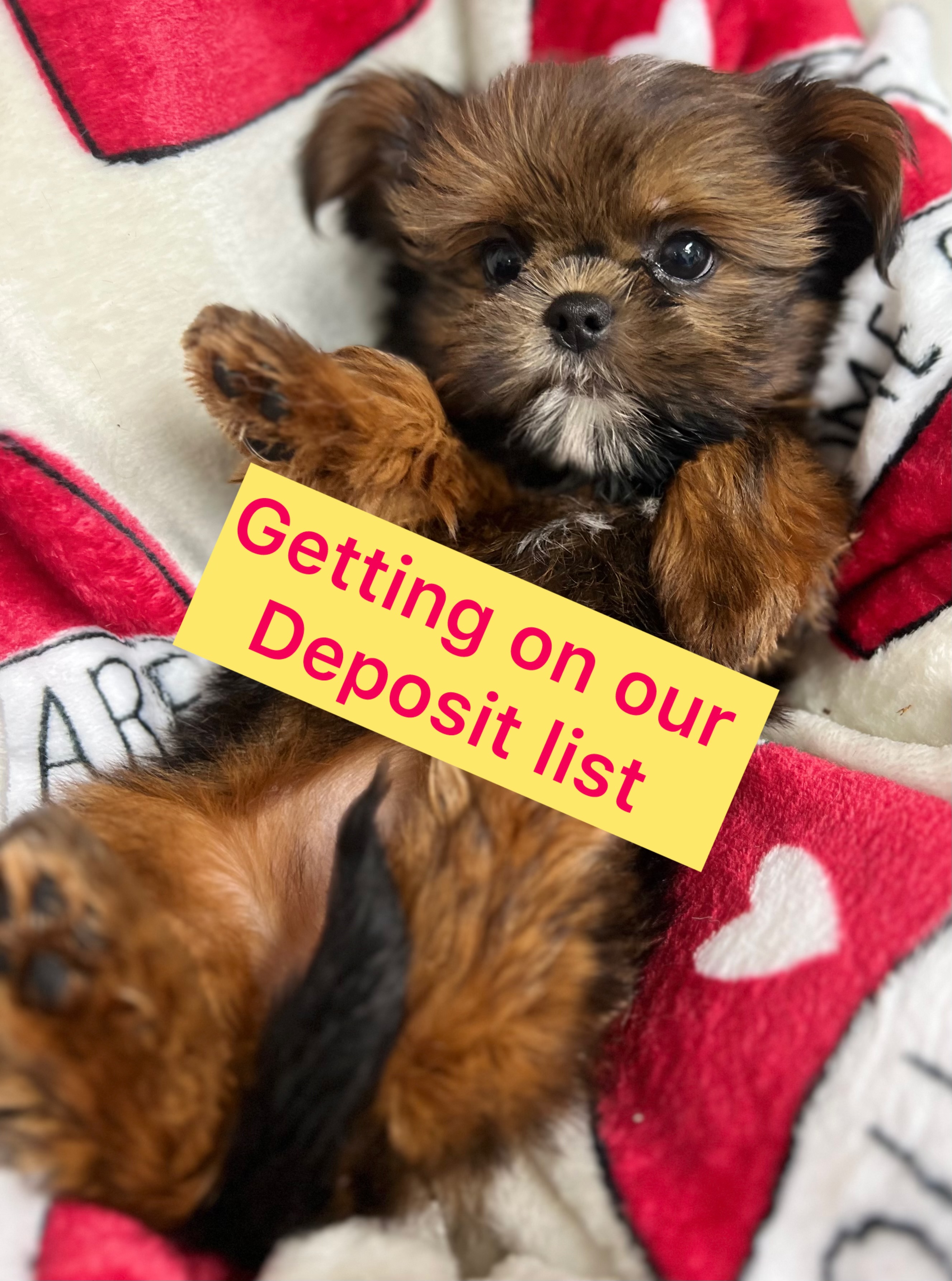 Important Information! Getting On Our Deposit List
